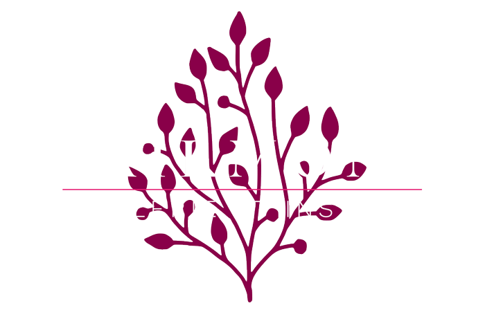 EXE-logo-clairmonde-blanc-01